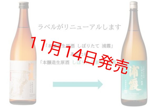 本醸造生原酒 しぼりたて 新酒 浦霞 