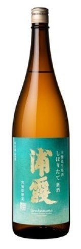 本醸造生原酒 しぼりたて新酒 浦霞 1800ml【佐浦】季節・宮城限定品　クール(冷蔵)  11月15日発売