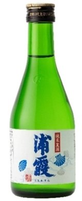 純米夏酒 浦霞 300ml【佐浦】季節商品・夏限定　6/10発売