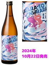 純米吟醸酒「うららとくらら」 第二弾！ 【浦霞・一ノ蔵コラボ商品】 10月22日発売！宮城限定・数量限定